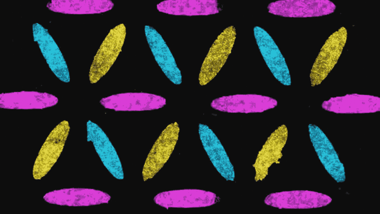 30+ individual tissue communities interacting to form a cell sheet